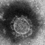【速報】全国で見つかった１２２人の変死体が新型コロナウイルスに感染していたことが判明