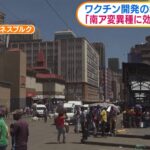 南アフリカ変異種コロナ、ワクチン効かず、凍てつく波動