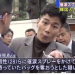 在日コリアン「父親が韓国左派のYouTube文字動画にハマって、日本のネトウヨと一緒じゃんと思った」