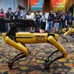 米NY市警、ロボット犬「デジドッグ」の運用中止 反発の声強く