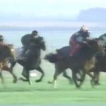 【悲報】日本の競走馬、引退後は馬肉になっていた…