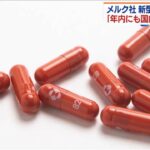 コロナ経口薬 “モルヌピラビル” 年内供給へ 日本  [421685208]