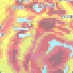 関東人なのに阪神ファンの奴って何なのwwwwwwwwwwwwwww  [509689741]