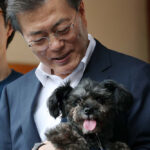 韓国大統領、「犬肉食禁止」を検討し始める  [123322212]