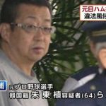 在日コリアン系野球選手で打線組んでみたｗ  [792074256]