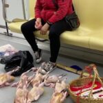 地下鉄の中で突如鶏肉を床に並べて販売する女性が話題に　予想以上に堂々と売ってる  [538181134]