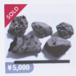 沖縄に漂着の軽石等の漂流物。メルカリに出品され物議、キロ5000円  [561344745]