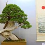 盆栽の起源は中国にあると主張･･･壁画に証拠があるアルよ  [439992976]