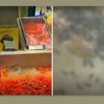 韓国食品会社　『大量の虫…』　製造工場の映像に衝撃  [645525842]