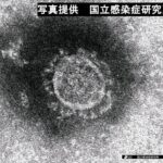 13歳や15歳の子供にワクチン打ったら即死した模様　厚労省が発表  [828293379]