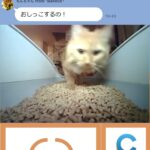 「トイレしたにゃ〜！」　NEC『waneco talk』にカメラ付き猫用トイレ提供　(※LINEのみ対応)  [645525842]