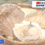 ホタテ貝が中国人にウケまくって日本の農産品輸出、初の1兆円超ｗｗｗ  [837857943]