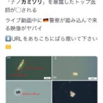 ワクチンに入ってるナノカミソリを暴露したトップ医師がコロされる ドイツ（画像あり）  [144189134]