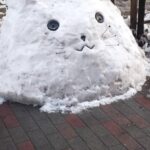 全国の皆さん！東京が大雪です！！★２  [952977951]