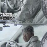 【悲報】逆転金メダルの平野歩夢がひろゆきにそっくり・・・・  [514943473]