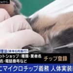ペットのマイクチップ義務化 捨て犬猫 年間7万2000匹 6月の未来から  [144189134]