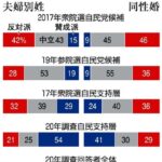 伝統文化を破壊して成人年齢は引き下げるくせに、同性婚や夫婦別姓はなんで認められないの？  [118128113]