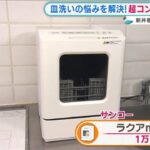 独身の食洗器が発売。  [811133648]
