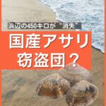 「2年間育ててきたのに…」福岡の「国産」アサリ450kgが盗まれる 熊本の産地偽装発覚で価格高騰  [295723299]
