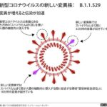コロナ4X、コロナ5X、南アフリカで2種類の未知の変異株を検出  [422186189]