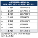 上海、感染者がテロリスト扱いされるようになる。アメリカからワクチン貰えない模様  [839071744]