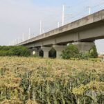 台湾高速鉄道、高架橋の橋脚が建設時から90cmも沈下。  [896590257]