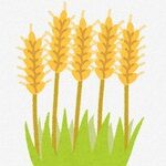 ロシア「今年は小麦の収穫が増え在庫も増えました😄」  [754019341]