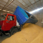 ロシア「食糧危機は欧米のせい、穀物輸出には制裁見直しが必要」  [754019341]