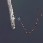 ロシア軍、軍事用のイルカを海に放つ、要衝セバストポリ港で艦船守る。これは殺せねぇわ…  [839071744]