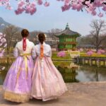 韓国人「日本の奴らが桜を使って電磁波攻撃してくる。だから頭が痛い。」  [194767121]