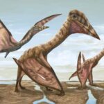 『死を司る翼竜・タナトスドラゴンアマル』の化石が見つかる  [788192358]