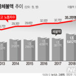【悲報】韓国、賃金未払いが日本の35倍  [128776494]