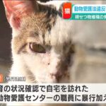 【速報】猫の脱糞を放置し虐待した疑いで男が逮捕  [509689741]