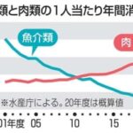 日本人の魚介類消費量が過去最低に  [329591784]