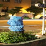 東京千代田区で歩道整備のためのイチョウ並木伐採を巡り反対派が座り込み　まるでどっかで見た光景  [632443795]