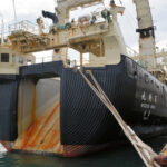 「補助金がなければ維持できない」…利益ゼロで大赤字の捕鯨業界、国の補助金51億円が頼りに  [902666507]