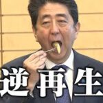 安倍元首相「日本のリンゴってさぁ、あっっ倒的に美味しいよね？」　謎の動画が出回る…  [271912485]